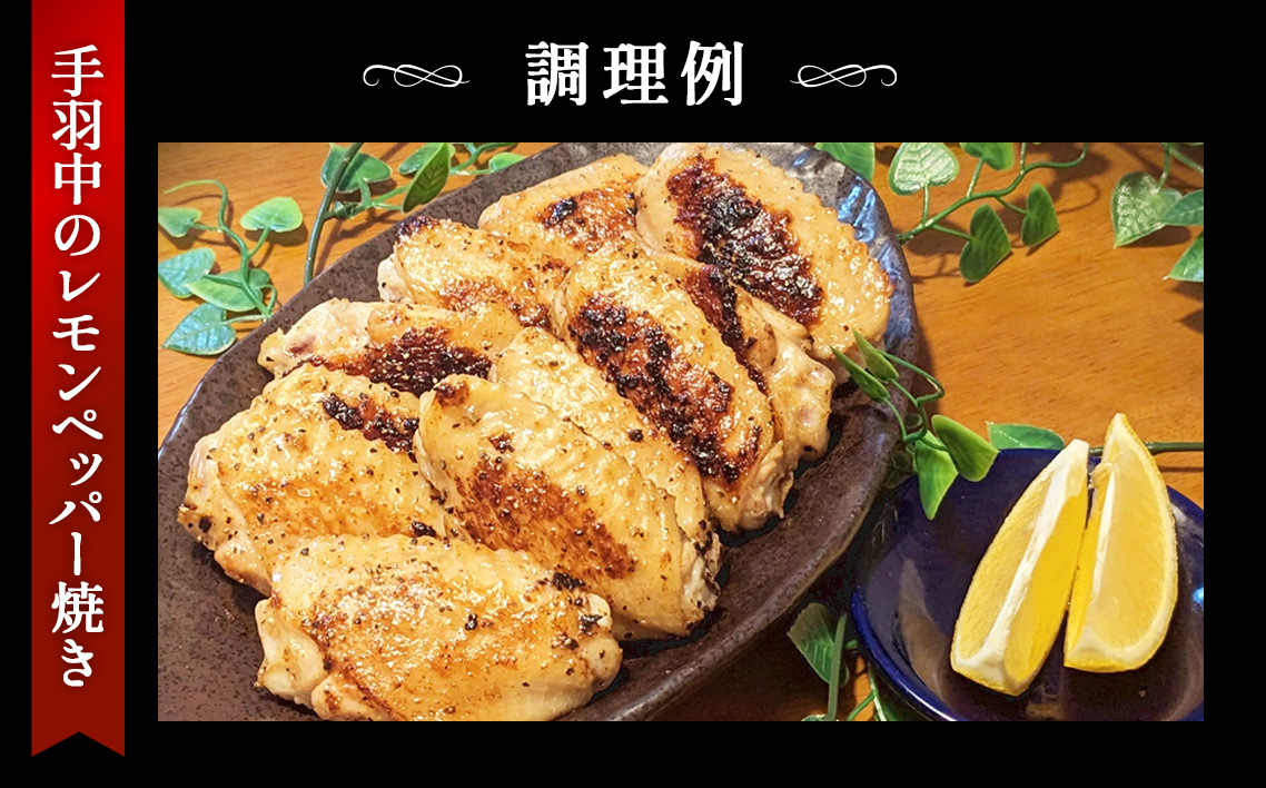 冷凍　恵那どり　手羽中　バラ凍　2kg [No.923]