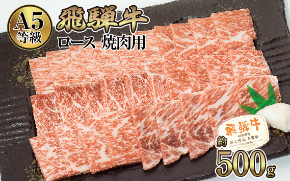 店主こだわり雌牛 飛騨牛A5等級　ロース　焼肉用　約500g [No.038]