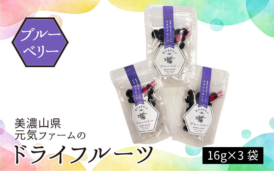 美濃山県元気ファームのドライフルーツかじゅえりー　ブルーベリー [No.1103]