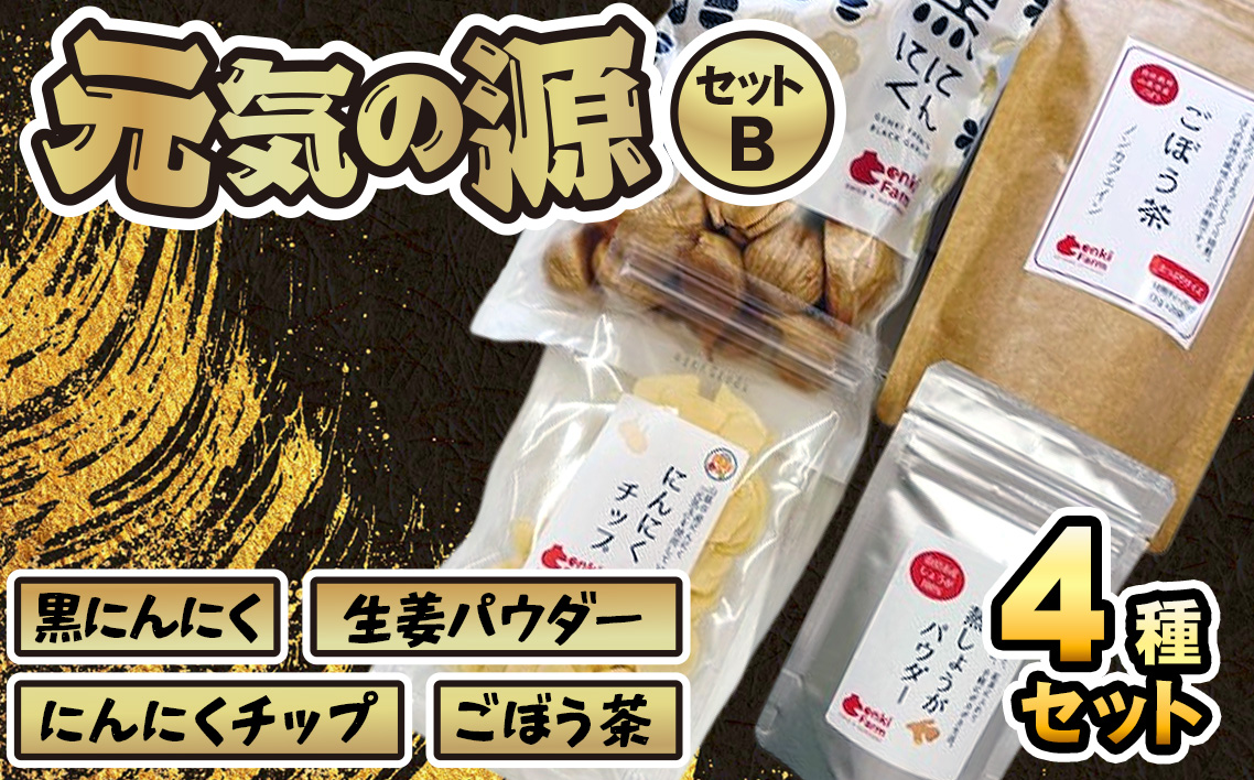 美濃山県元気ファーム　元気の源セットB [No.077]