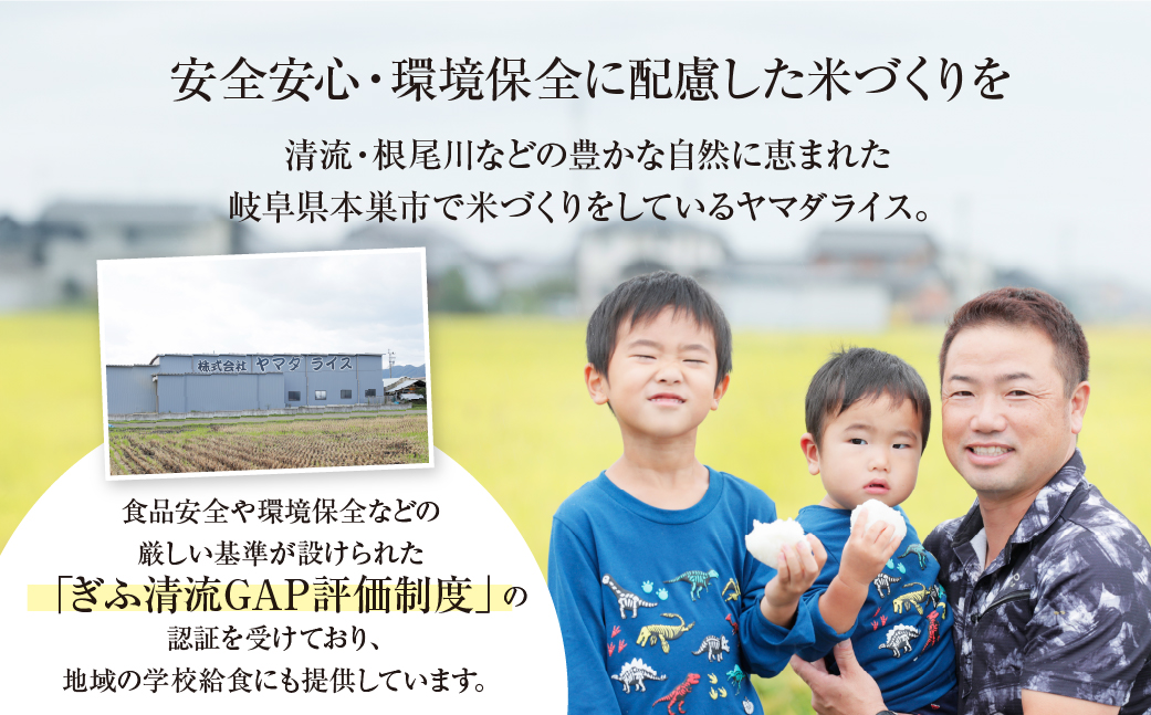 令和6年産 ハツシモ 5kg 米 こめ ごはん 白米 玄米 岐阜県産 本巣市 お米 精米 おにぎり 弁当 さっぱり 旨味 甘い 和食 寿司 岐阜県産 ヤマダライス