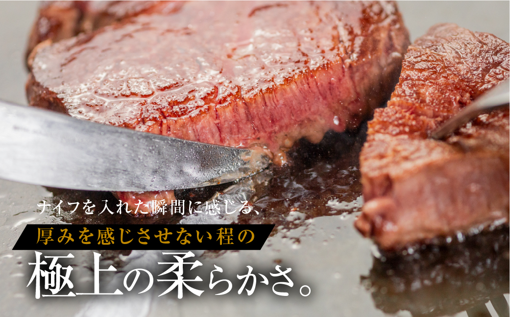 【2026年2月発送】[A5等級] 飛騨牛 シャトーブリアンステーキ 3枚 |牛肉 肉 和牛 国産牛 牛肉 肉 ステーキ ヒレ ヒレステーキ 冷凍 岐阜 本巣市 トキノ屋 食品