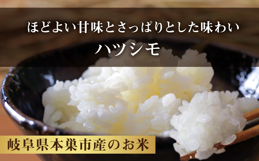 令和6年産 新米 先行予約 ハツシモ 10kg ( 5kg × 2袋) 幻の 米 こめ ごはん 白米 岐阜県産 本巣市 お米 玄米  精米 おにぎり 弁当 さっぱり 和食 寿司 希少 アグリード