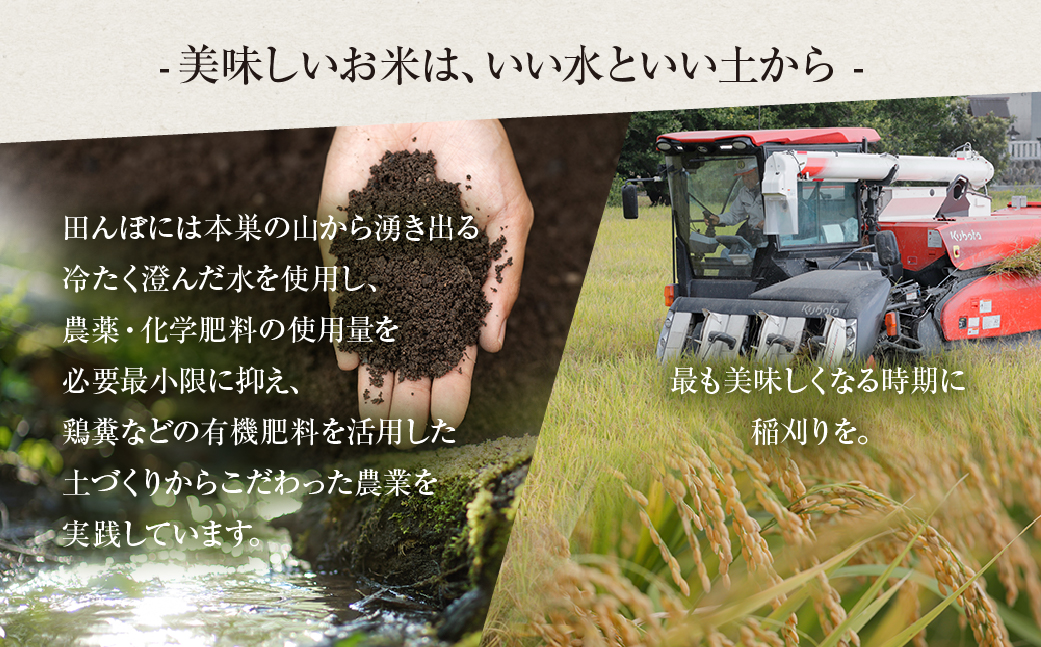 令和6年産 ハツシモ 10kg 米 こめ ごはん 白米 玄米 岐阜県産 本巣市 お米 精米 おにぎり 弁当 さっぱり 旨味 甘い 和食 寿司 岐阜県産 ヤマダライス