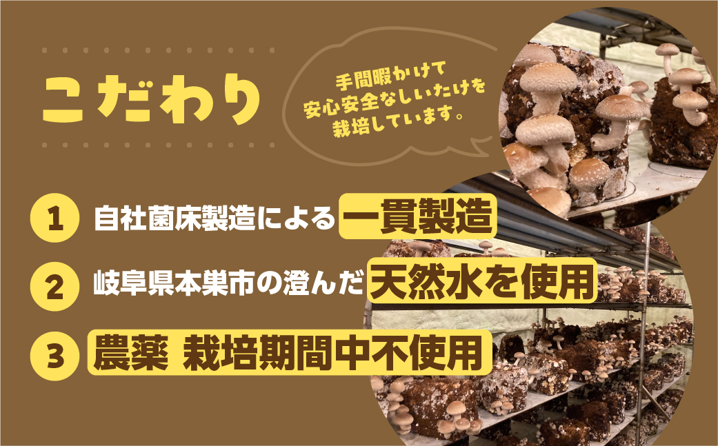 【訳あり】 生しいたけ 約 350g お試し サイズ 混合 不揃い おまかせ 簡易梱包 訳あり 訳アリ BBQ 野菜 栽培期間中 農薬不使用 岐阜県産 本巣市 国産 きのこ キノコ シイタケ 産地直送 新鮮 数量限定 冷蔵 モトスマッシュ [mt1915]