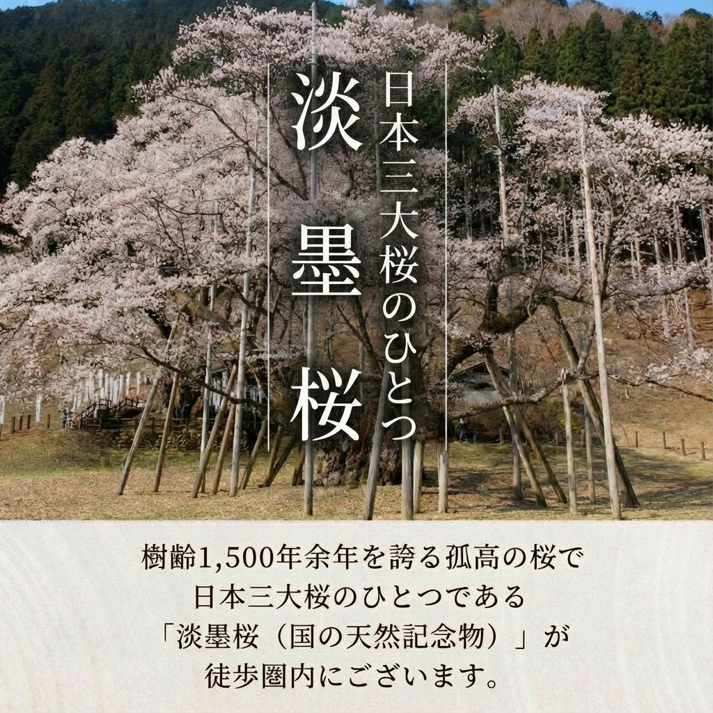 淡墨の宿 宿泊利用券 3000円分 うすずみ 根尾 樽見 宇野千代 先生 小説 薄墨の桜 舞台 執筆 観光 旅行 人気 ご当地 そば 鮎 鉄道 自然 泊まり ゆっくり 聖地巡礼 利用券 住吉屋 創業 江戸末期 伝統 和食 ごはん 岐阜県 本巣市 [mt2067] 10000円
