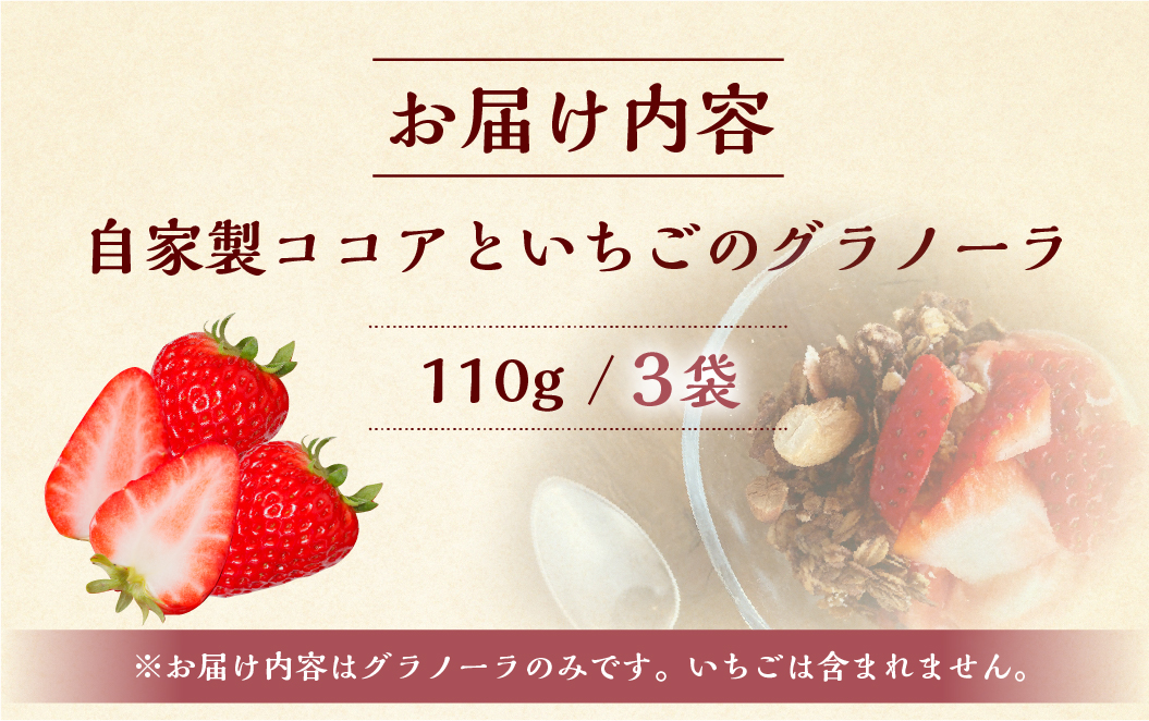 いちごとココアのグラノーラ3袋 ココア いちご 紅ほっぺ シリアル 朝食 ギフト ｜フルーツ スイーツ 苺 牛乳 デザート おやつ イチゴ 子ども 大人 人気 甘い ビター 岐阜県 本巣市 [mt291]