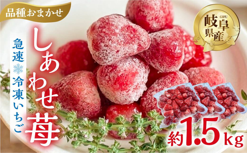 【2026年5月より発送】 《 訳あり 》 冷凍いちご 品種おまかせ 1.5kg (500g × 3p) 簡易梱包 サイズ 不揃い のため 訳あり 訳アリ フルーツ 果物 苺 いちご 紅ほっぺ よつぼし かおり野 イチゴ アイス ヨーグルト 苺 family農園watanabe 子ども 小分け 家庭用 国産 産地直送 岐阜県 本巣市 1万 10000円 [mt1505_omkase]
