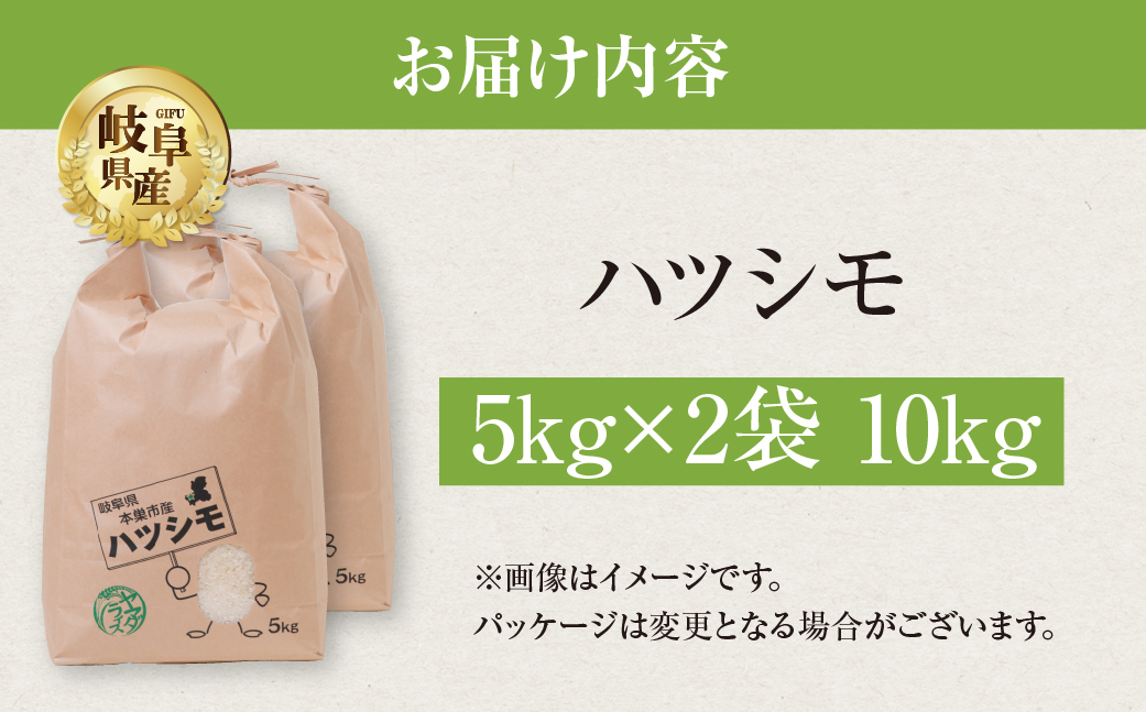 令和6年産 ハツシモ 10kg 米 こめ ごはん 白米 玄米 岐阜県産 本巣市 お米 精米 おにぎり 弁当 さっぱり 旨味 甘い 和食 寿司 岐阜県産 ヤマダライス