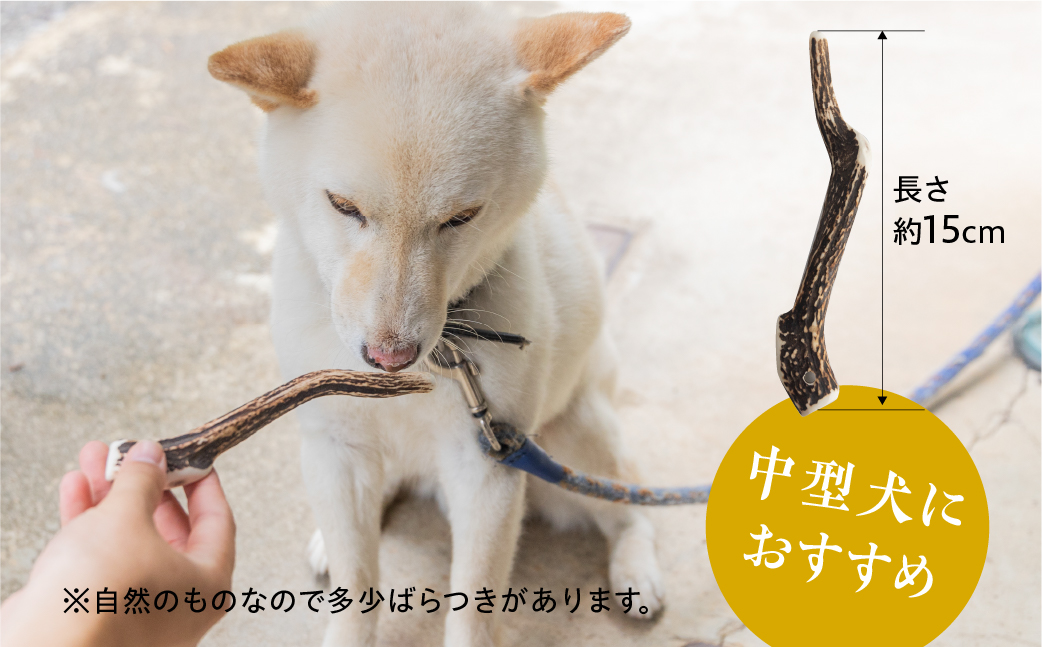 鹿角 犬用 歯磨きガム 15cm 中型犬用 デンタルケア おもちゃ ペット用品 犬 消毒済み 国産 天然 [mt1538] 12000円