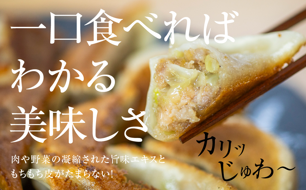 ぎふ絶品餃子 100個入 (50個入×2袋) 大容量 冷凍 国産野菜 国産素材 を使った ぎょうざ ギョウザ 豚 肉 玉ねぎ 岐阜県産 ビールにあうおつまみ お取り寄せグルメ 惣菜 人気 おすすめ 岐阜夢餃子製作所