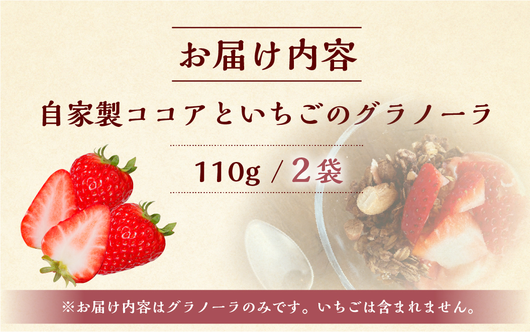 いちごとココアのグラノーラ2袋　ココア いちご 紅ほっぺ シリアル 朝食 ギフト｜フルーツ スイーツ 苺 牛乳 デザート おやつ イチゴ 子ども 大人 人気 甘い ビター 送料無料 岐阜県 本巣市  [mt290]