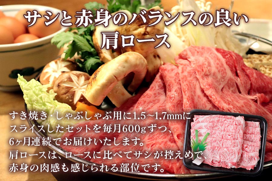 [6ヶ月定期便][A5等級] 飛騨牛肩ロースすき焼き・しゃぶしゃぶ用600g [0869]