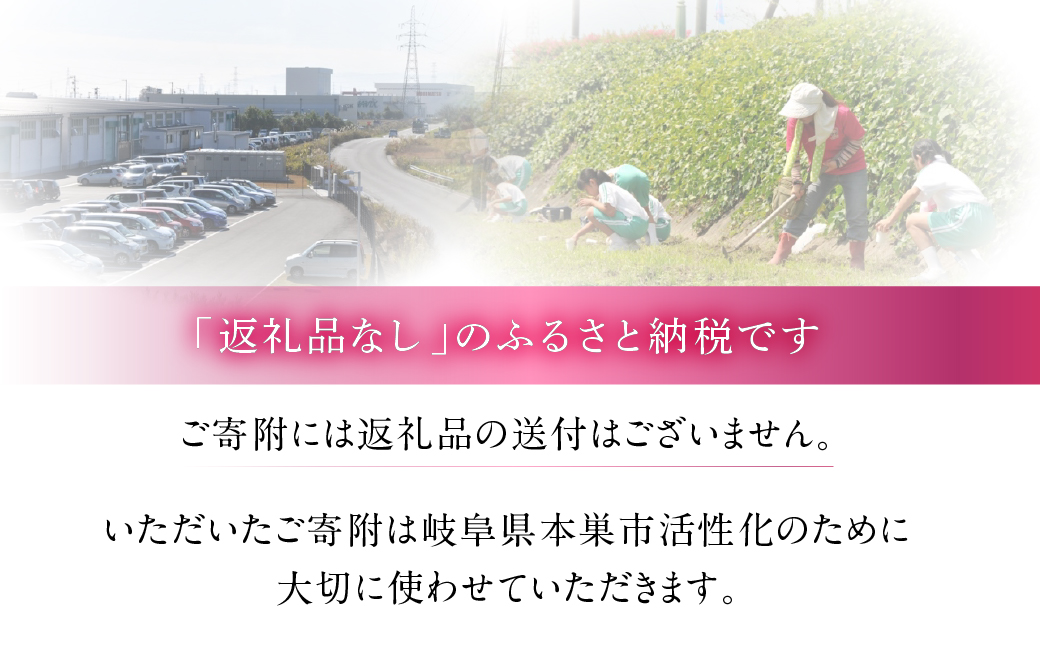 《返礼品なし》 ～ 岐阜県本巣市への寄付 応援寄附金 淡墨桜  (返礼品はありません) [0960]  mt309