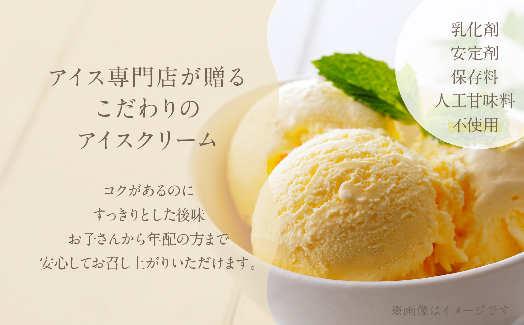 [チョコレート味] 業務用アイス2リットル 大容量 アイスクリーム 大容量 アイスクリーム 訳あり 訳アリ 北海道産 純 生クリーム 牛乳 国産 岐阜県 本巣市 卵 無添加 甘い スイーツ デザート たっぷり コーヒー メロン いちご フロート 自宅用 [mt185]