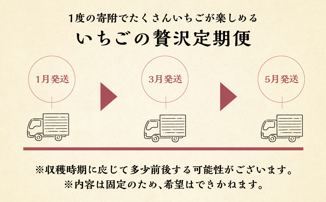 【定期便3回】いちご贅沢 紅ほっぺ 450g 1kg しあわせ苺 サイズ バラバラ 訳あり 訳アリ 含む 農園直送 [mt198] フルーツ 苺 イチゴ 人気 本巣市 果物 先行予約 [mt211]