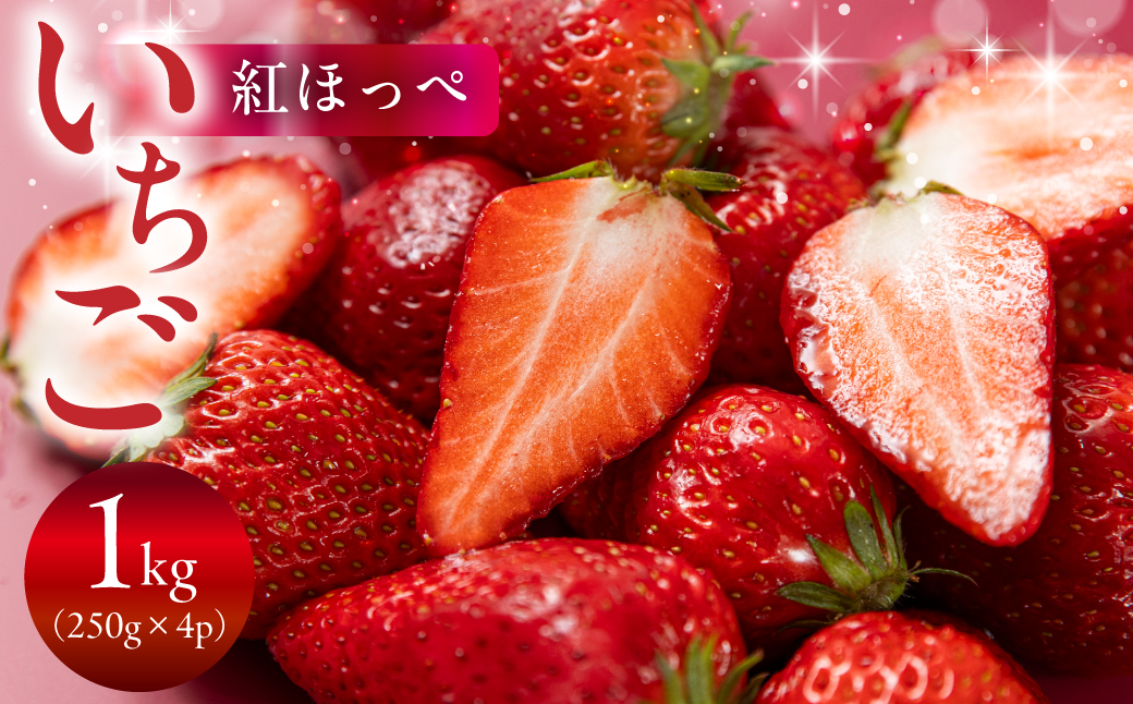 【先行予約】《2027年1月～発送》令和9年産 品種おまかせ いちご 紅ほっぺ かおり野 1kg (250g × 4p) サイズ 不揃い 農園直送 生食 ケーキ [mt2205]｜フルーツ 果物 苺 イチゴ 子ども 小分け 簡易梱包 家庭用 産地直送 岐阜県 本巣市 15000円