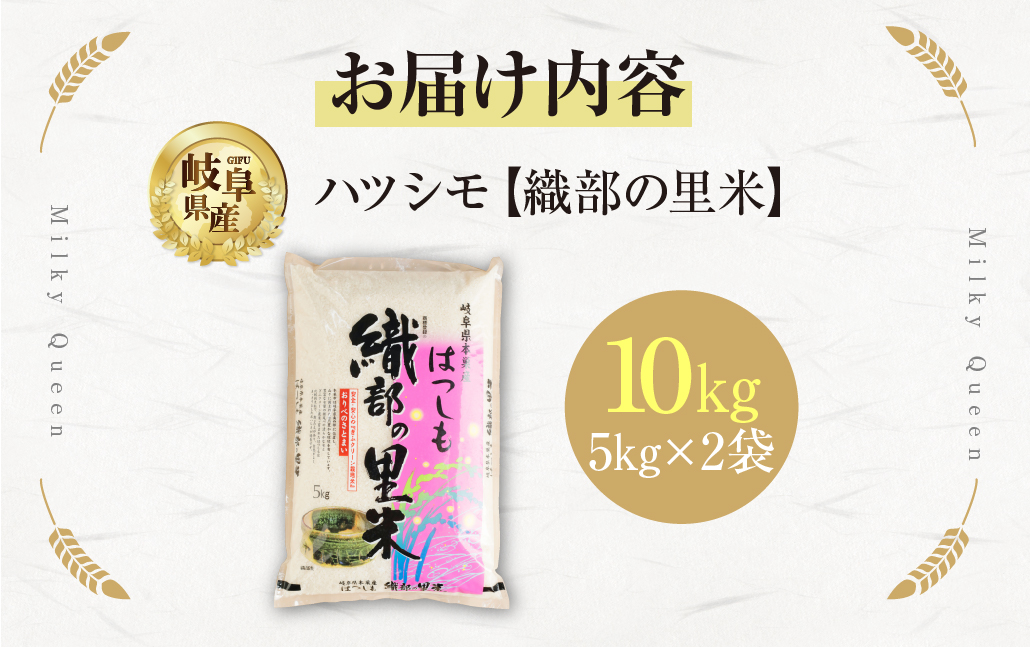 令和6年産 【織部の里米(R)】精米 ハツシモ 10kg ( 5kg ×2袋 ) 岐阜県 本巣市産 お米 もとすファーム