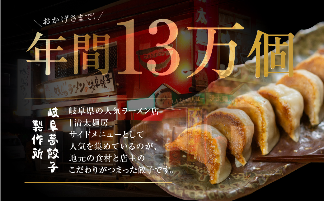 【定期便6回】餃子バラエティ 人気餃子 食べ比べ ぎふ絶品餃子 飛騨牛 餃子 もとす織部 モーニング餃子 宇宙餃子 冷凍餃子 業務用 ぎょうざ ギョウザ 冷凍 グルメ お取り寄せ グルメ 冷凍食品 国産素材 肉 牛肉 豚肉 ジューシー もちもち [mt1862] 