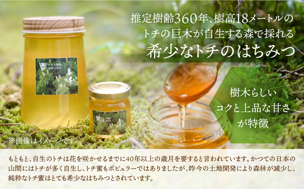 [ 国産はちみつ ] バラエティ 食べ比べ とち蜜 百花 90g × 2個 ナッツ蜂蜜漬 100g 1個 瓶 国産 トチ 百花 常温 はちみつ ハチミツ 蜂蜜 ハニー 送料無料 女性養蜂家 チクマ養蜂 朝食 パン トースト ヨーグルト ランキング 人気 ギフト 岐阜県産 14000円 [mt1584]