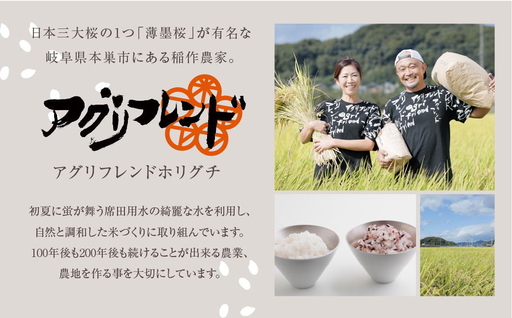 【令和6年度産】ハツシモ ( 精米 ) 10kg 有機肥料米 新米 幻の 米 こめ ごはん 白米 岐阜県産 本巣市 お米 玄米 精米 寿司 おすすめ アグリフレンド