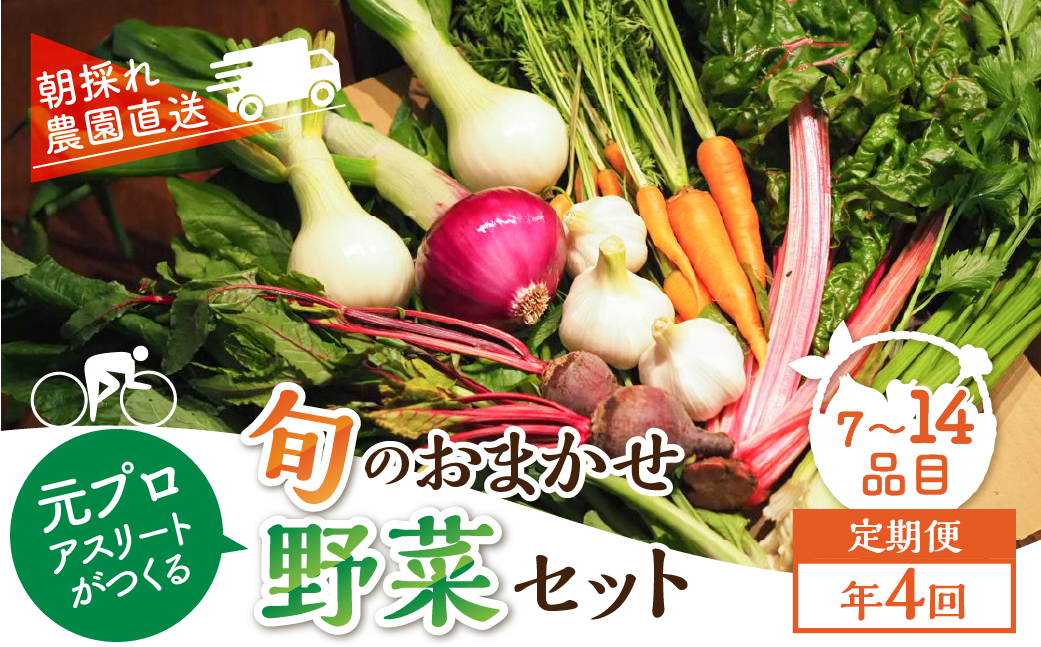 【定期便】年4回お届け 季節の野菜セット 7～14品目 品目おまかせ のため 訳あり 訳アリ BBQ 春 夏 秋 冬 野菜 岐阜県産 本巣市 朝採り 産地直送 新鮮 数量限定 冷蔵 めぐるファーム