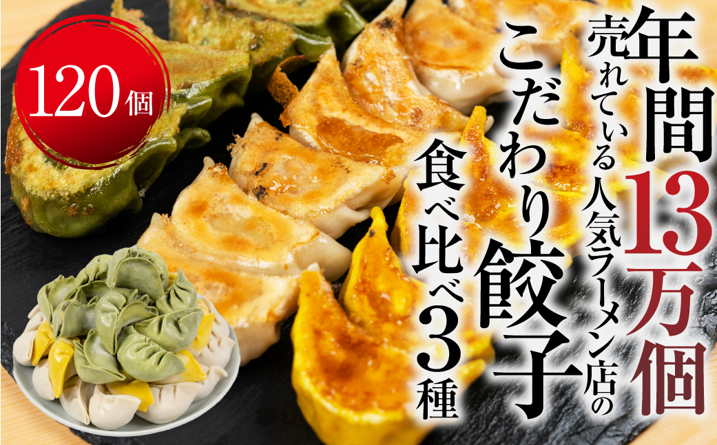 ぎふ夢餃子ミックス120個 人気餃子3種を詰め合わせ！ 冷凍餃子 食べ比べ メガ盛り 業務用 ぎょうざ ギョウザ 冷凍 グルメ お取り寄せ グルメ 冷凍食品 国産素材 飛騨牛 おりべ 織部 肉 ジューシー もちもち