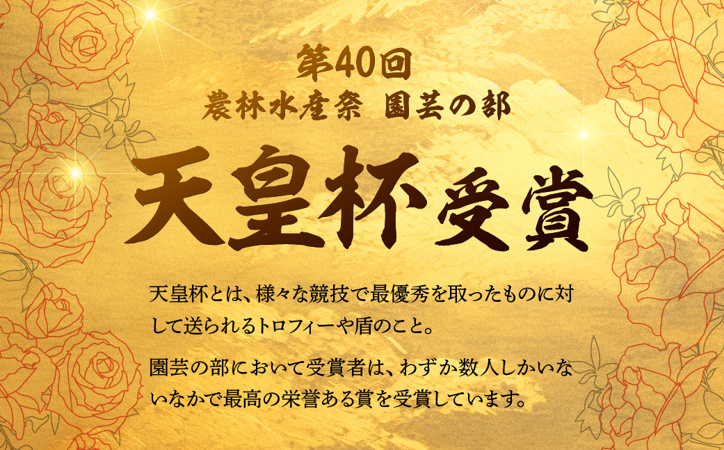 【定期便】全6回 産地直送 ミニバラ鉢植 1鉢 × 6回 [お届け月固定] 種類おまかせ 四季咲き バラ 花 ガーデニング 生産量 日本一 天皇杯 ※沖縄 離島配送不可 薔薇 セントラルローズ