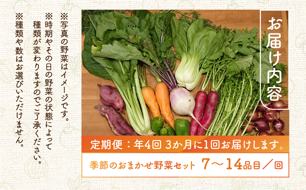 【定期便】年4回お届け 季節の野菜セット 7～14品目 品目おまかせ のため 訳あり 訳アリ BBQ 春 夏 秋 冬 野菜 岐阜県産 本巣市 朝採り 産地直送 新鮮 数量限定 冷蔵 めぐるファーム