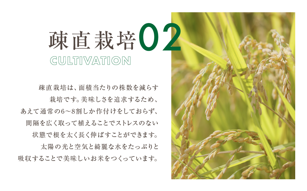 【令和6年度産】ハツシモ ( 精米 ) 10kg 有機肥料米 新米 幻の 米 こめ ごはん 白米 岐阜県産 本巣市 お米 玄米 精米 寿司 おすすめ アグリフレンド