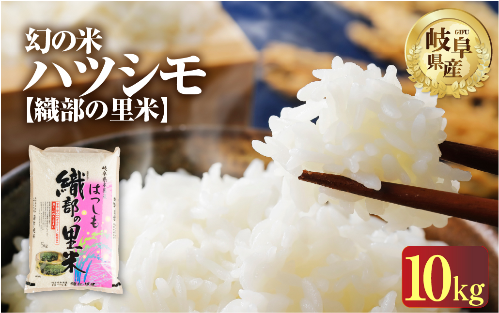 令和6年産 【織部の里米(R)】精米 ハツシモ 10kg ( 5kg ×2袋 ) 岐阜県 本巣市産 お米 もとすファーム