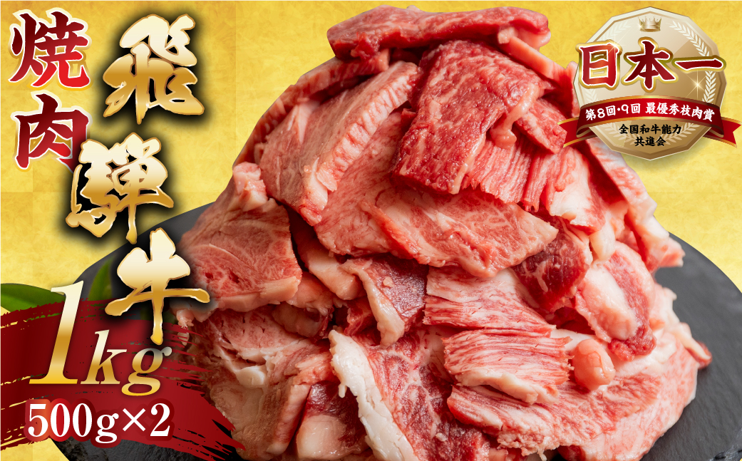 [A5等級] 飛騨牛【訳あり】飛騨牛 焼肉 切り落とし 500g × 2 計 1kg | 牛肉 肉 切落し 和牛 牛肉 肉 わけあり ワケアリ 不揃い 小分け 冷凍 焼き肉 お肉 やきにく 着日指定 すぐ届く 本巣市 20000円 から 25000円