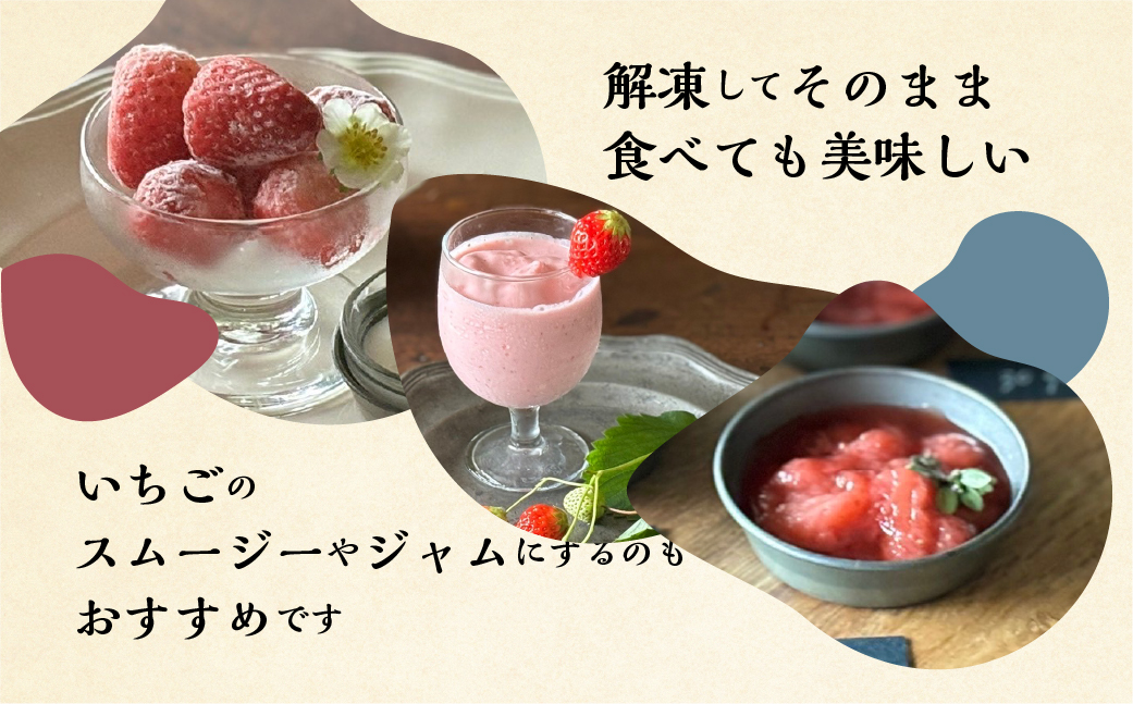 【2026年5月より発送】《 訳あり 》 冷凍いちご 品種おまかせ 3kg (500g × 6p) 簡易梱包 サイズ 不揃い のため 訳あり 訳アリ フルーツ 果物 苺 いちご イチゴ 紅ほっぺ よつぼし かおり野 アイス ヨーグルト 苺 family農園watanabe 子ども 小分け 家庭用 国産 産地直送 岐阜県 本巣市 2万 20000円 [mt1506_omkase]