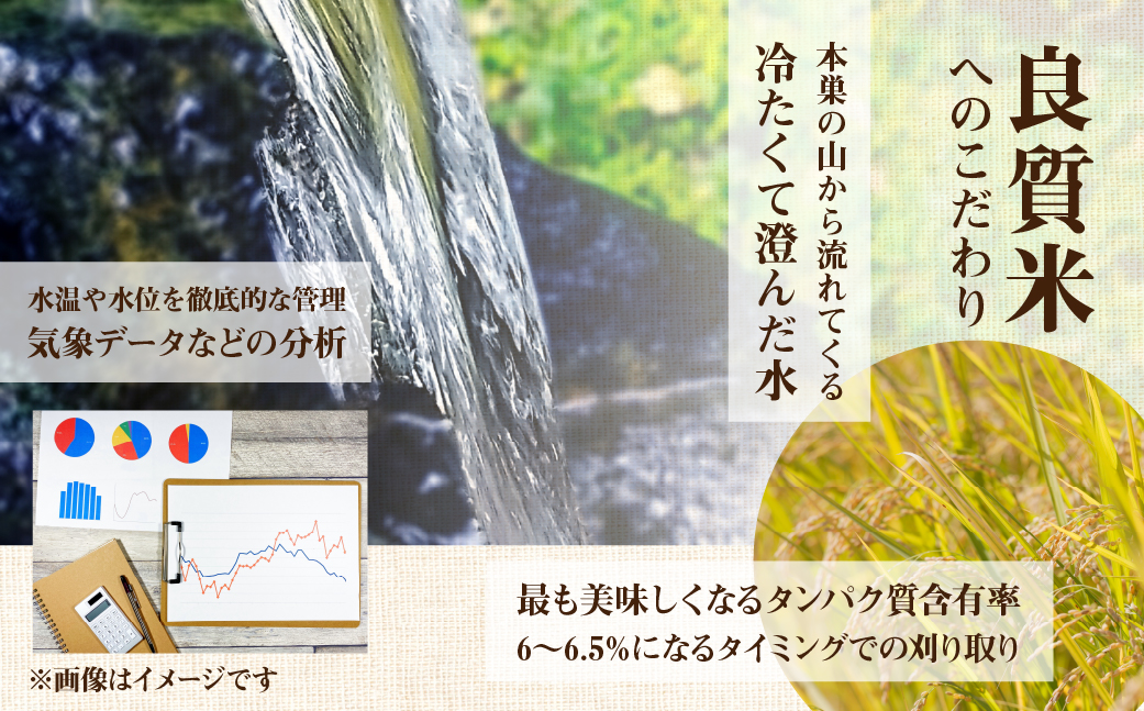 【 定期便 】 コシヒカリ 5kg × 6回 米 こめ ごはん 白米 岐阜県産 本巣市 お米 精米 おにぎり 弁当 こしひかり もっちり 旨味 甘い 和食 寿司 アグリード [mt557]