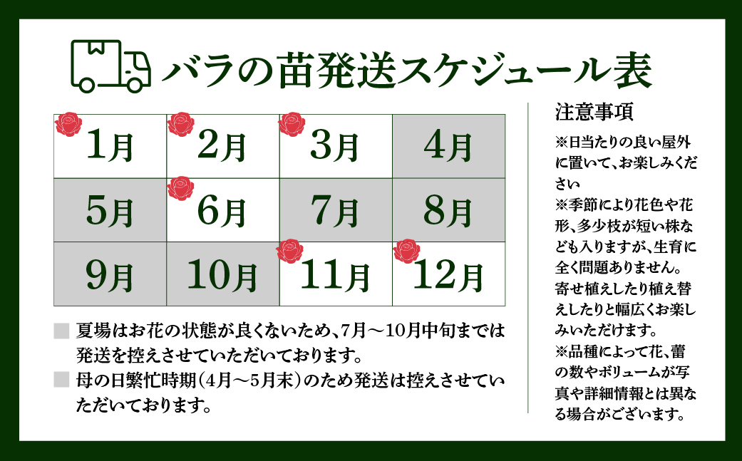 産地直送 おまかせミニバラ6鉢詰め合わせ [11月～3月 お届け] 品種おまかせのため 訳あり 訳アリ 四季咲き ミニバラ 花 家庭菜園 生産量 日本一 天皇杯 3.5号鉢 ポット苗 肥料付 ※沖縄 離島配送不可 薔薇 セントラルローズ