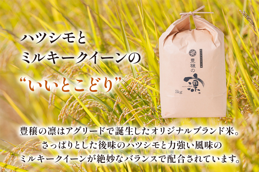 令和5年産 オリジナルブランド米 豊穣の凛5kg×1袋 [1433]