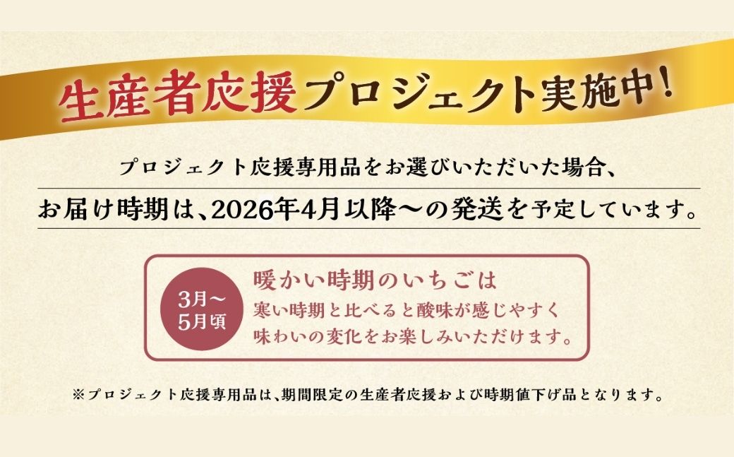 【応援プロジェクト限定品】2026年4月以降～発送 先行予約 自宅用 品種おまかせ いちご 1kg (250g × 4p) [しあわせ苺] サイズ バラバラ 訳あり 訳アリ 農園直送 フルーツ 果物 苺 イチゴ family農園watanabe 子ども 大人 人気 小分け 簡易梱包 家庭用 産地直送 紅ほっぺ よつぼし かおり野 岐阜 期間限定 いちご