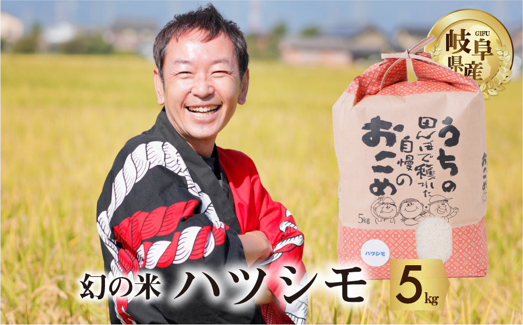 令和6年産 新米 先行予約 ハツシモ 5kg 幻の 米 こめ ごはん 白米 岐阜県産 本巣市 お米 玄米  精米 おにぎり 弁当 さっぱり 和食 寿司 希少 アグリード