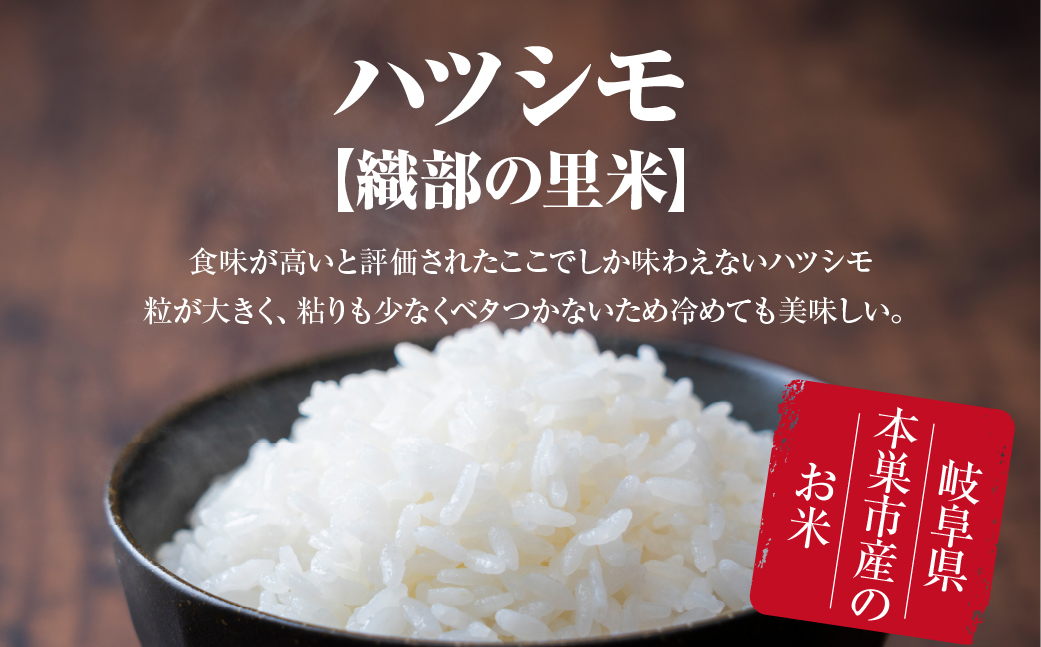 令和6年産 【織部の里米(R)】精米 ハツシモ5kg×1袋 岐阜県 本巣市産 米 もとすファーム