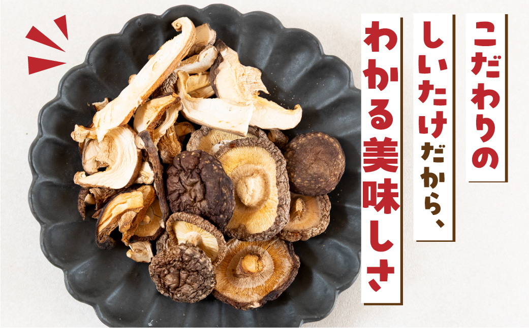【お試し】乾燥 しいたけ 約 40g お試し サイズ 混合 不揃い おまかせ 簡易梱包 訳あり 訳アリ BBQ 野菜 栽培期間中 農薬不使用 岐阜県産 本巣市 国産 きのこ キノコ シイタケ 産地直送 新鮮 数量限定 常温 モトスマッシュ [mt1916] 6000円