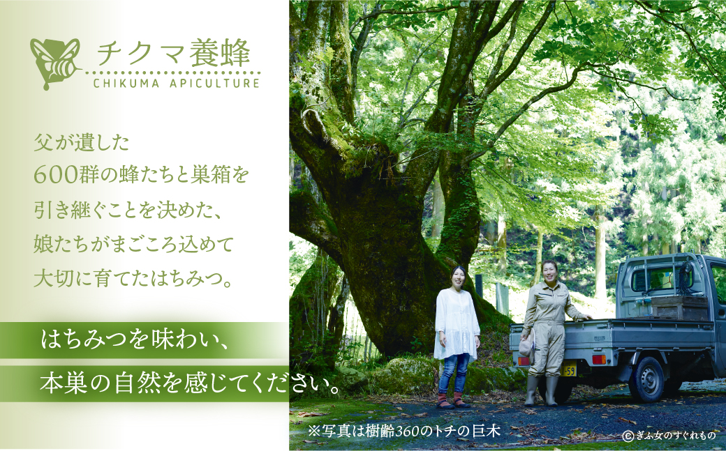 [ 国産はちみつ ] バラエティ 食べ比べ とち蜜 百花 90g × 2個 ナッツ蜂蜜漬 100g 1個 瓶 国産 トチ 百花 常温 はちみつ ハチミツ 蜂蜜 ハニー 送料無料 女性養蜂家 チクマ養蜂 朝食 パン トースト ヨーグルト ランキング 人気 ギフト 岐阜県産 14000円 [mt1584]