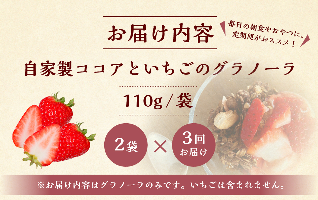 【3回定期便】いちごとココアのグラノーラ2袋 family農園watanabe ココア いちご 紅ほっぺ シリアル 朝食 ギフト ｜フルーツ スイーツ 苺 牛乳 デザート おやつ イチゴ 子ども 大人 人気 甘い ビター 岐阜県 本巣市  [mt293]