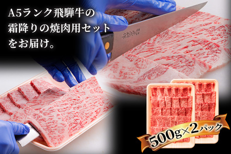 [3ヶ月定期便][A5等級]飛騨牛焼き肉用 1kg(500g×2パック)『ロース・肩ロース肉』[0345]