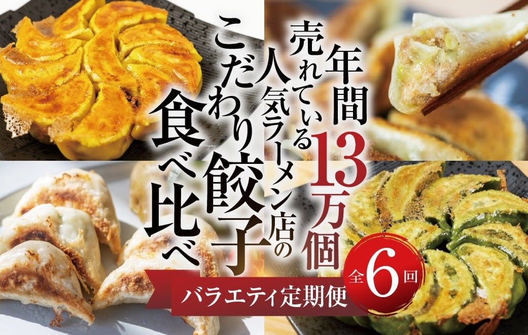 【定期便6回】餃子バラエティ 人気餃子 食べ比べ ぎふ絶品餃子 飛騨牛 餃子 もとす織部 モーニング餃子 宇宙餃子 冷凍餃子 業務用 ぎょうざ ギョウザ 冷凍 グルメ お取り寄せ グルメ 冷凍食品 国産素材 肉 牛肉 豚肉 ジューシー もちもち [mt1862]