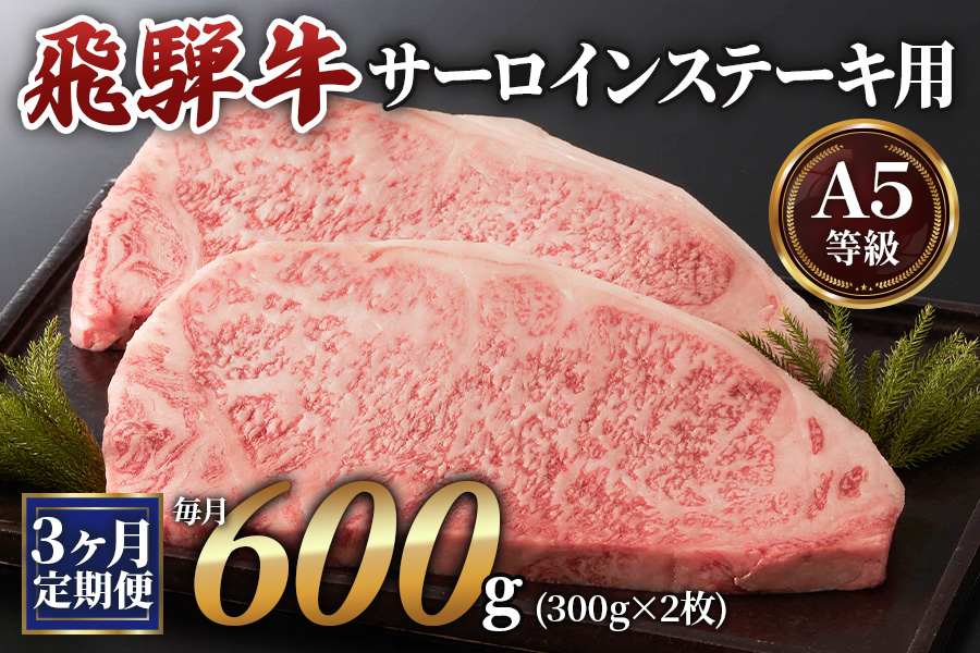 [3ヶ月定期便][A5等級]飛騨牛サーロインステーキ用 600g(300g×2枚) [0341]