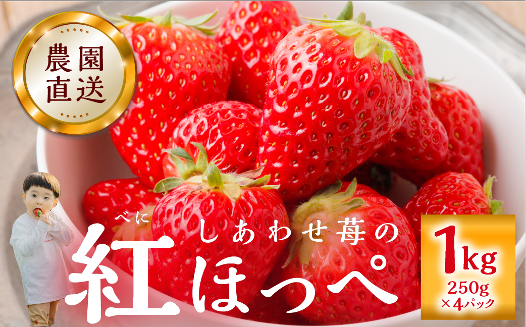 先行予約 自宅用 いちご 紅ほっぺ 1kg (250g × 4p) [しあわせ苺] サイズ バラバラ 訳あり 訳アリ 農園直送 フルーツ 果物 苺 イチゴ 子ども 大人 人気 小分け 簡易梱包 家庭用 産地直送 岐阜 期間限定 【202409_フルーツ先行予約】いちご