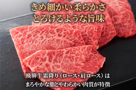 [3ヶ月定期便][A5等級]飛騨牛焼き肉用 1kg(500g×2パック)『ロース・肩ロース肉』[0345]