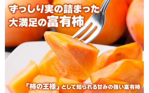 [先行予約／令和6年産]《柿の王様》西垣農園の富有柿 Lサイズ (14個入)【栽培方法からこだわって作る良質の富有柿】[mt019] [0592][mt1152]