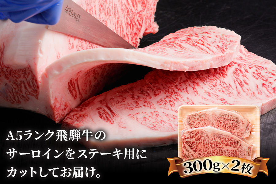 [3ヶ月定期便][A5等級]飛騨牛サーロインステーキ用 600g(300g×2枚) [0341]