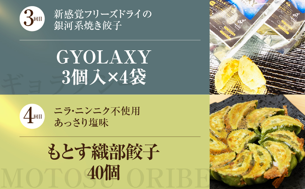 【定期便6回】餃子バラエティ 人気餃子 食べ比べ ぎふ絶品餃子 飛騨牛 餃子 もとす織部 モーニング餃子 宇宙餃子 冷凍餃子 業務用 ぎょうざ ギョウザ 冷凍 グルメ お取り寄せ グルメ 冷凍食品 国産素材 肉 牛肉 豚肉 ジューシー もちもち [mt1862] 